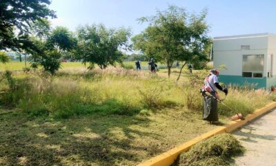 Personas realizan labores de limpieza y deshierbe en áreas verdes frente a un centro de salud en Cacaloxúchitl. Un trabajador con equipo de protección corta el pasto con desbrozadora, mientras otros participantes colaboran en la faena comunitaria.
