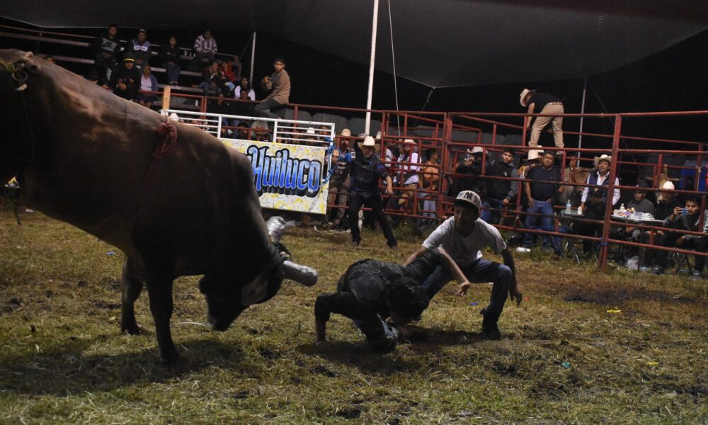 Jinete cae durante su participación en el Torneo de Ganaderías de Huaquechula, mientras compañeros intervienen en la arena para auxiliarlo, en un espectáculo que forma parte de las celebraciones por el 215 aniversario de la Independencia de México.