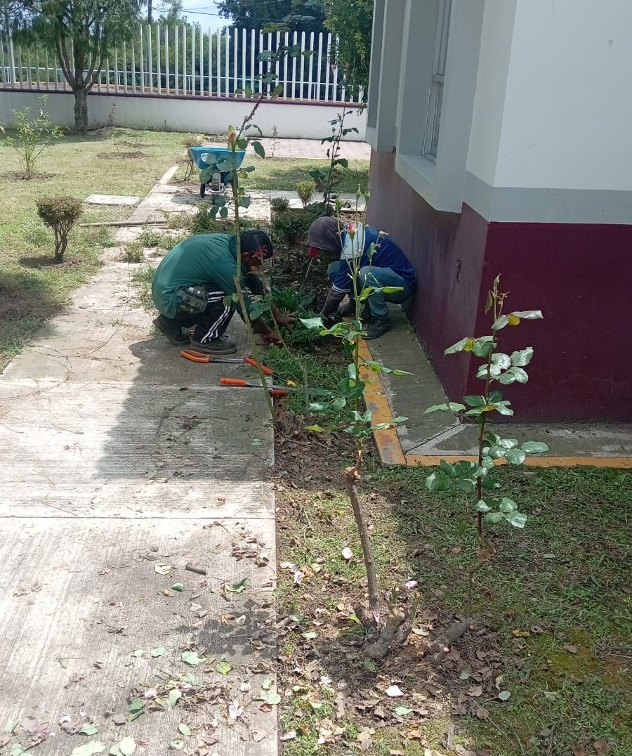 Trabajadores de servicios públicos realizan labores de jardinería y limpieza en los alrededores de la Unidad Básica de Rehabilitación de Tochimilco, mejorando áreas verdes para un entorno más seguro y saludable.