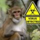 Mono rhesus junto a señal de advertencia por virus detectado, en referencia al accidente ocurrido en Mississippi donde escaparon varios ejemplares de laboratorio.