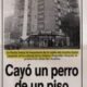 Portada de periódico argentino reportando la tragedia en la que un perro cayó desde el piso 13 y provocó tres muertes en Buenos Aires.