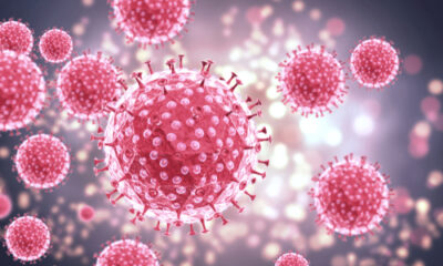 Representación microscópica del virus del papiloma humano (VPH), responsable de una de las infecciones más comunes a nivel mundial.
