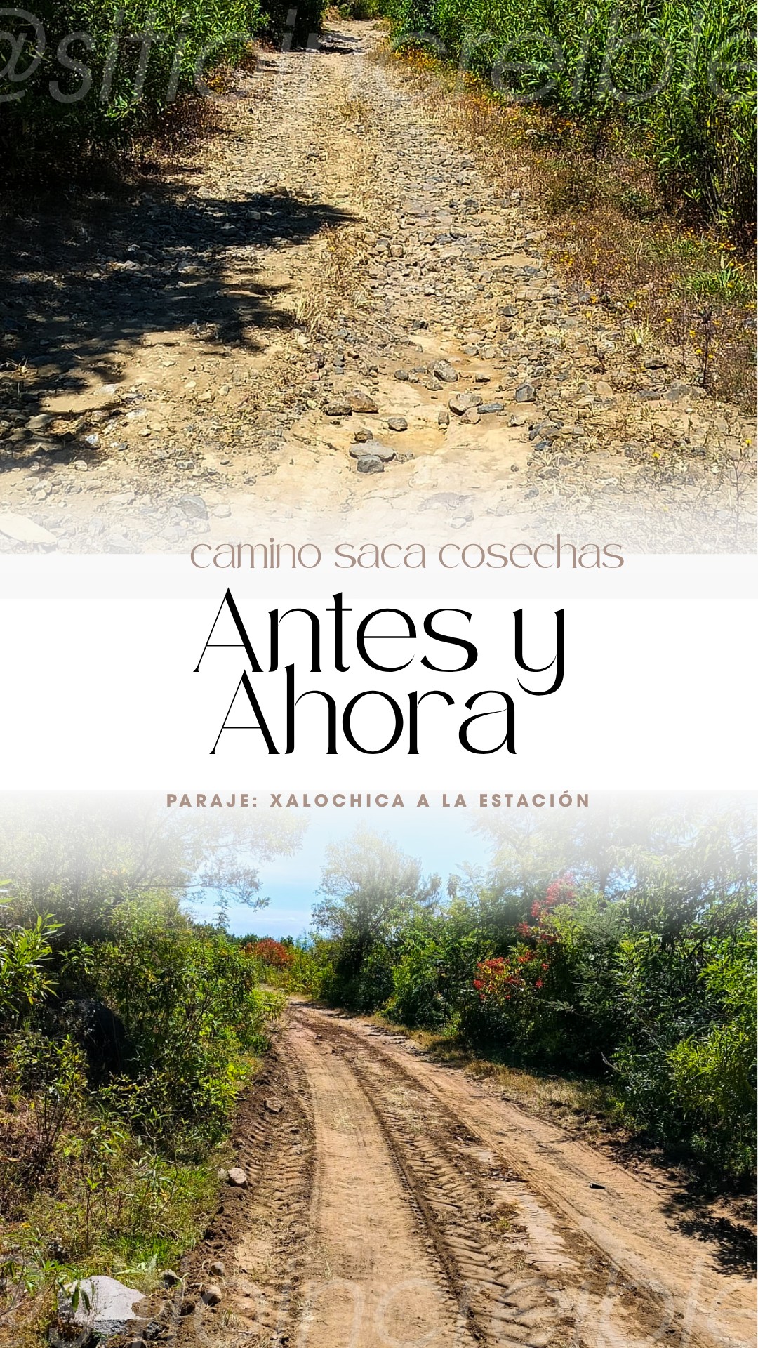 Comparativo del camino saca cosechas del paraje Xalochica a La Estación, antes y después de su rehabilitación realizada por el Ayuntamiento de Tochimilco.