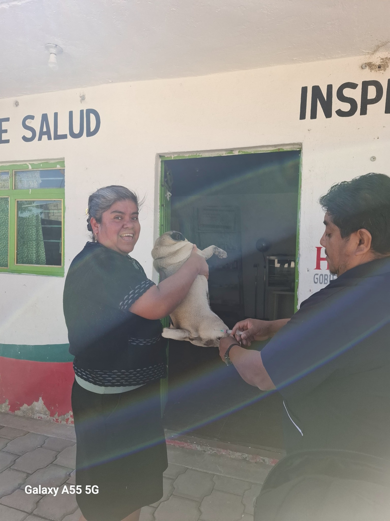 Persona joven sostiene a un gatito mientras un trabajador aplica una vacuna antirrábica durante una jornada comunitaria al aire libre.