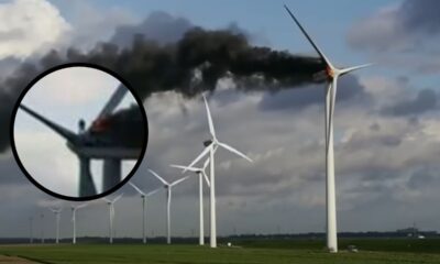 Turbina eólica en llamas con dos trabajadores atrapados en la parte superior, durante el incendio ocurrido en Ooltgensplaat, Países Bajos, en 2013.