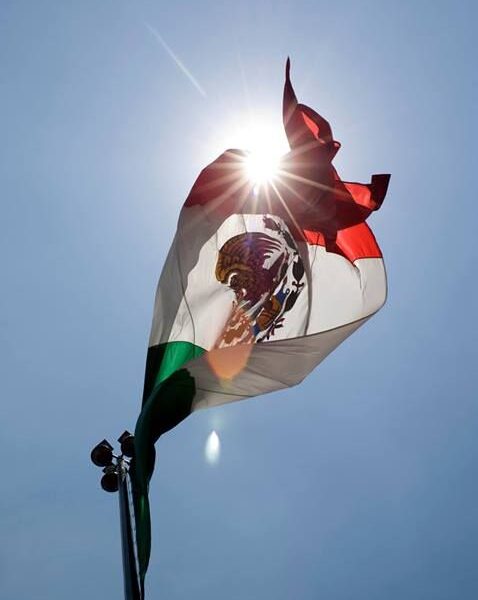 Bandera de México ondeando al sol con el escudo nacional iluminado por la luz desde atrás.