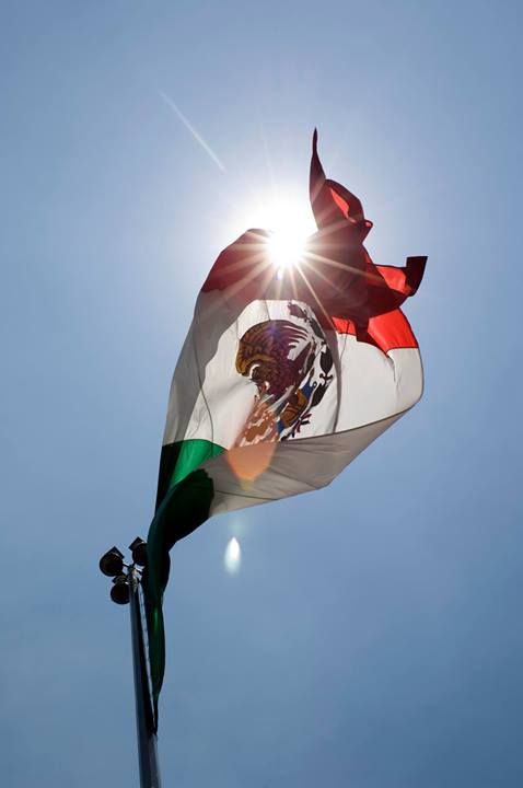 Bandera de México ondeando al sol con el escudo nacional iluminado por la luz desde atrás.