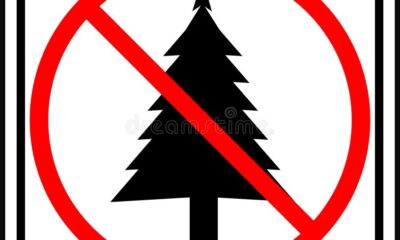 Símbolo de prohibición con silueta de árbol de Navidad.