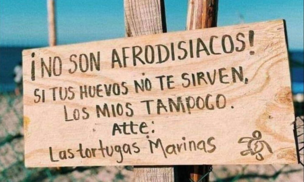 Letrero en playa advirtiendo que los huevos de tortuga no son afrodisíacos