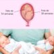 Ilustración comparativa de dos fetos en el útero con diferentes semanas de gestación y fotografía de dos recién nacidos.