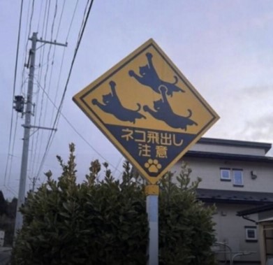 Señal vial en Japón que advierte sobre el cruce de gatos en la calle.