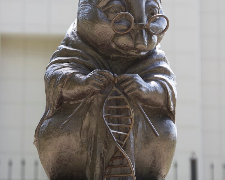 Estatua del ratón de laboratorio tejiendo una cadena de ADN en Rusia.