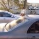 Hombre atado a un árbol en vía pública de Tijuana con cartulina alusiva a presunta infidelidad