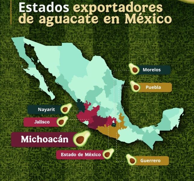 Mapa de México que muestra los estados exportadores de aguacate, destacando Michoacán, Jalisco y Puebla.