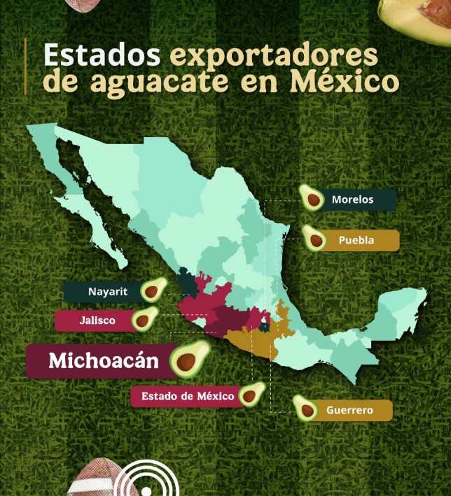 Mapa de México que muestra los estados exportadores de aguacate, destacando Michoacán, Jalisco y Puebla.