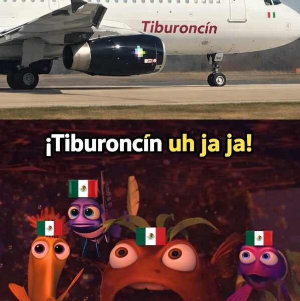 Avión de Volaris bautizado como “Tiburoncin”, en referencia a una escena de la película Buscando a Nemo.