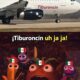 Avión de Volaris bautizado como “Tiburoncin”, en referencia a una escena de la película Buscando a Nemo.