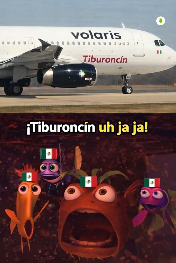 Avión de Volaris bautizado como “Tiburoncin”, en referencia a una escena de la película Buscando a Nemo.