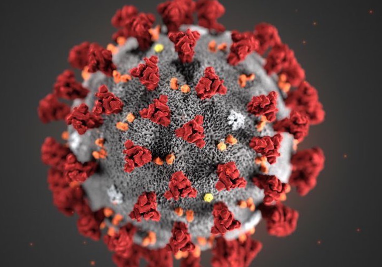 Imagen microscópica del virus SARS-CoV-2 responsable de la pandemia de COVID-19 declarada por la OMS en 2020.