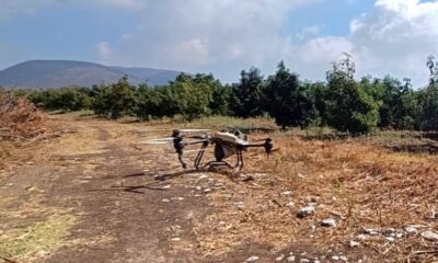 Drone agrícola fumigando terreno en Huaquechula Puebla como parte de programa de tecnificación del campo