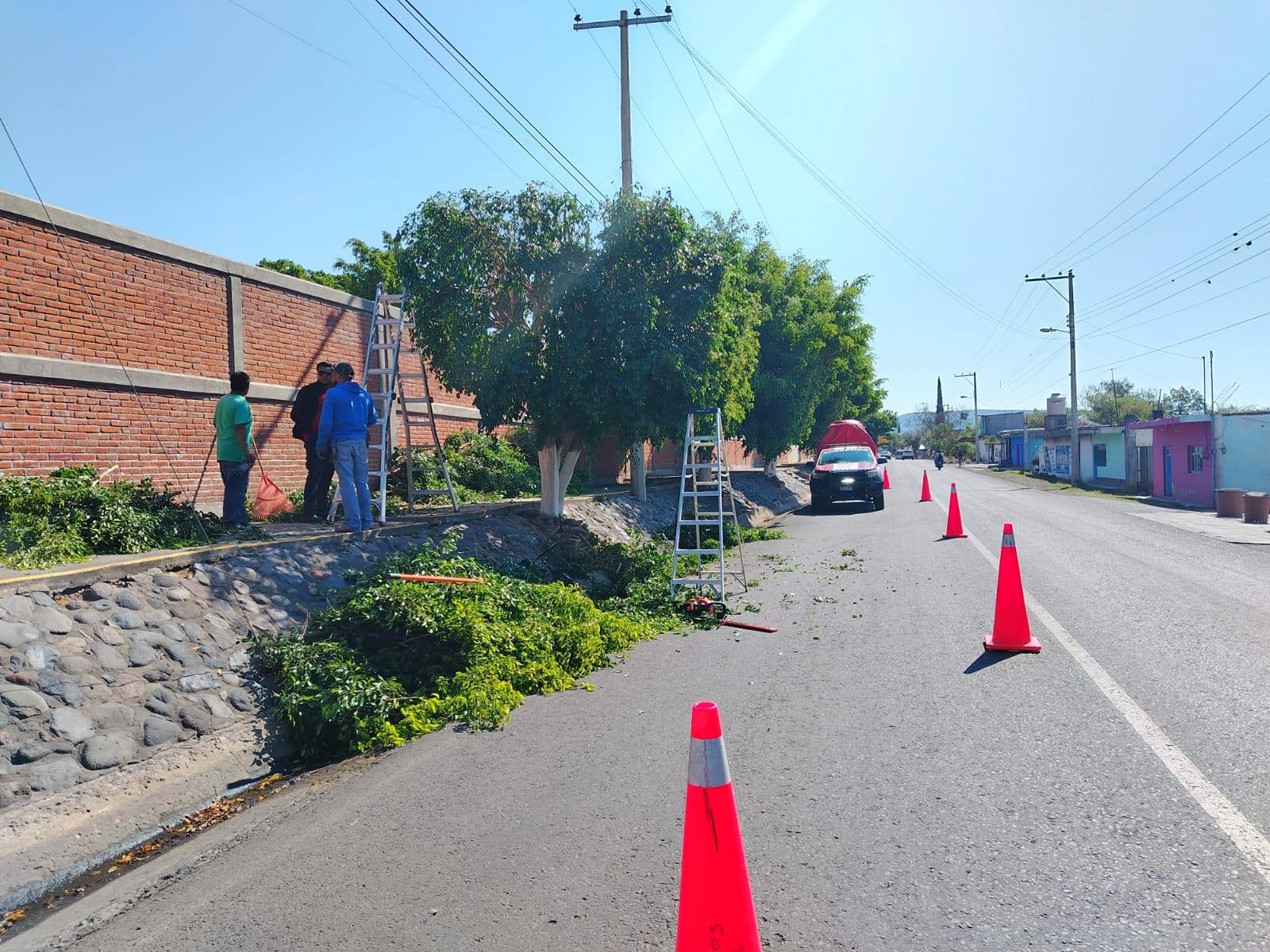 Trabajos de poda de árboles con abanderamiento vial en carretera de Cacaloxúchitl Huaquechula
