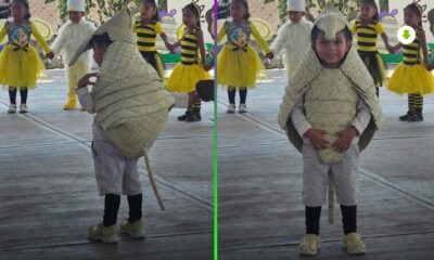 Niño con disfraz de armadillo hecho a mano en festival escolar en México