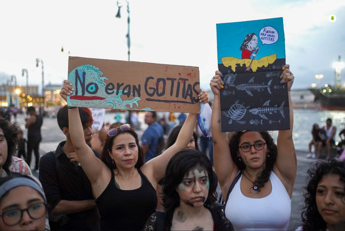 Manifestantes en Veracruz con pancartas protestando por derrame de petróleo en el Golfo de México
