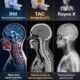 Comparación entre resonancia magnética, tomografía y rayos X mostrando diferencias en diagnóstico médico