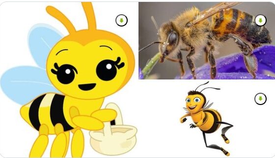 Imagen ilustrativa sobre el Día Mundial de las Abejas con caricaturas y fotografía de una abeja polinizando flores.