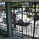 Captura de cámara de seguridad mostrando a un presunto ladrón junto a un vehículo blanco en la colonia Ricardo Flores Magón de Atlixco.