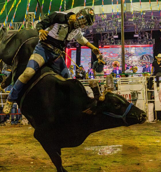 Jaripeo profesional durante el cierre de la Feria de Tochimilco 2026