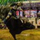 Jaripeo profesional durante el cierre de la Feria de Tochimilco 2026