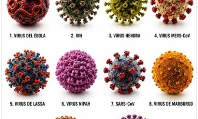 Representación gráfica de diez virus letales que han afectado a la humanidad