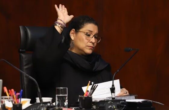 Ministra de la Suprema Corte durante sesión relacionada con seguridad privada en México