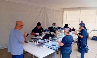 Personal veterinario realiza esterilizaciones gratuitas de perros y gatos durante una jornada de bienestar animal en San Juan Huiluco.