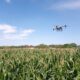 Drone agrícola realizando labores de fumigación aérea sobre cultivo de maíz como parte del programa impulsado por el Ayuntamiento de Huaquechula para apoyar a productores del campo.