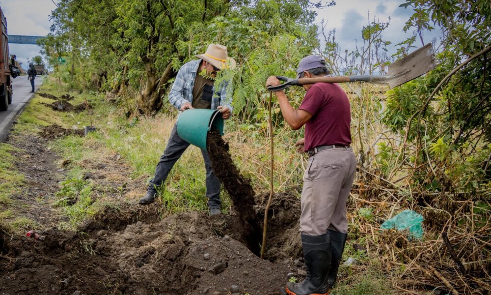 Participantes de la jornada de reforestación plantan árboles en Los Alcanfores durante el Día Mundial del Medio Ambiente en Tochimilco.