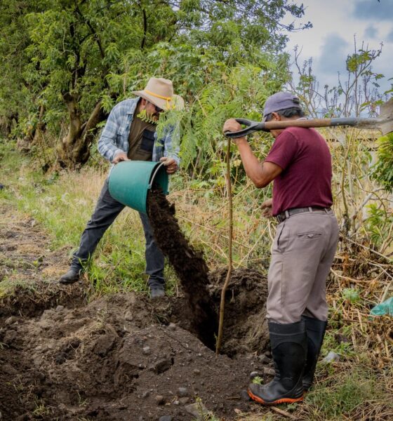 Participantes de la jornada de reforestación plantan árboles en Los Alcanfores durante el Día Mundial del Medio Ambiente en Tochimilco.