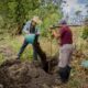 Participantes de la jornada de reforestación plantan árboles en Los Alcanfores durante el Día Mundial del Medio Ambiente en Tochimilco.