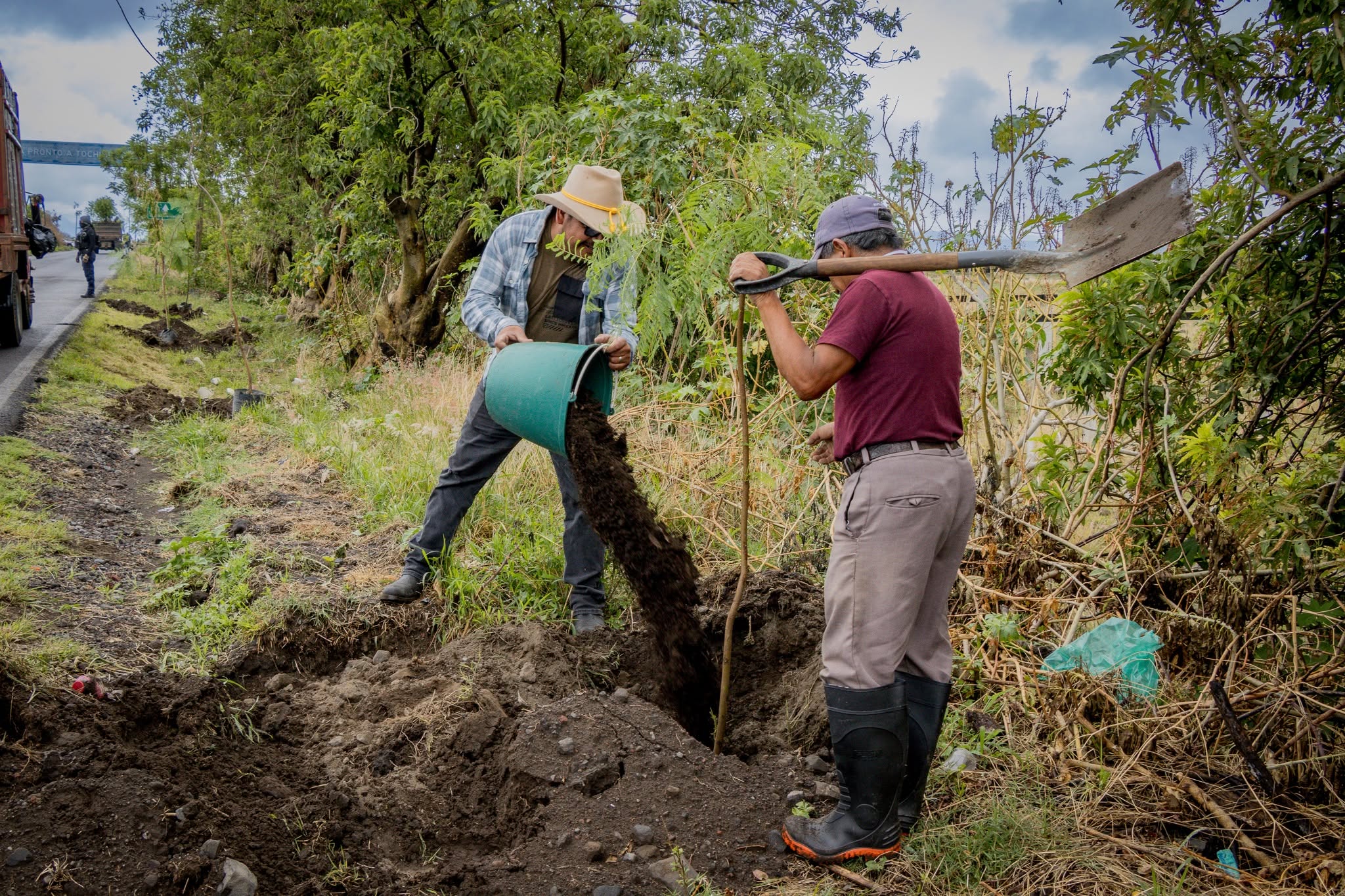 Participantes de la jornada de reforestación plantan árboles en Los Alcanfores durante el Día Mundial del Medio Ambiente en Tochimilco.