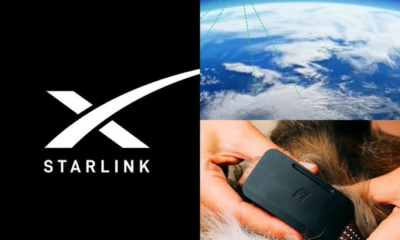 Collage promocional del rastreador inteligente Fi Ultra con el logotipo de Starlink, una representación de la conexión satelital y el dispositivo colocado en el collar de un perro.