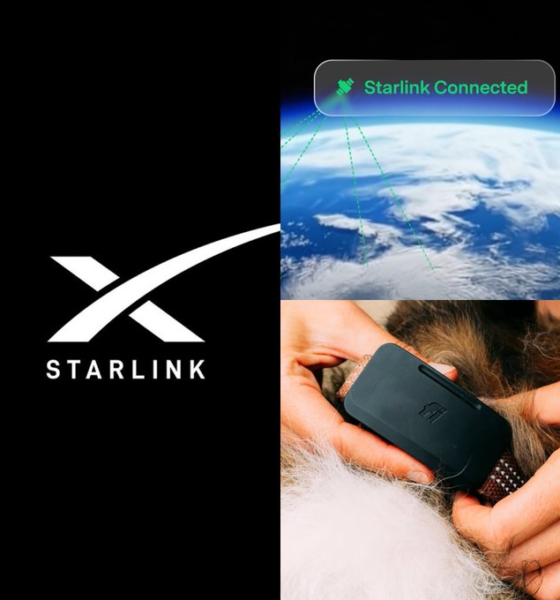 Collage promocional del rastreador inteligente Fi Ultra con el logotipo de Starlink, una representación de la conexión satelital y el dispositivo colocado en el collar de un perro.
