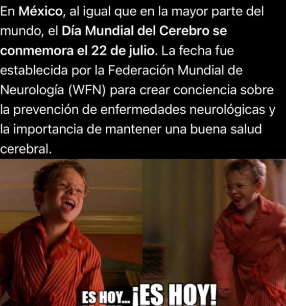 Imagen conmemorativa del Día Mundial del Cerebro celebrado el 22 de julio.