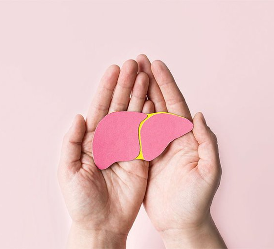ALT: Ilustración de un hígado sostenido entre dos manos con motivo del Día Mundial contra la Hepatitis.